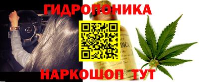 круглые Новодвинск