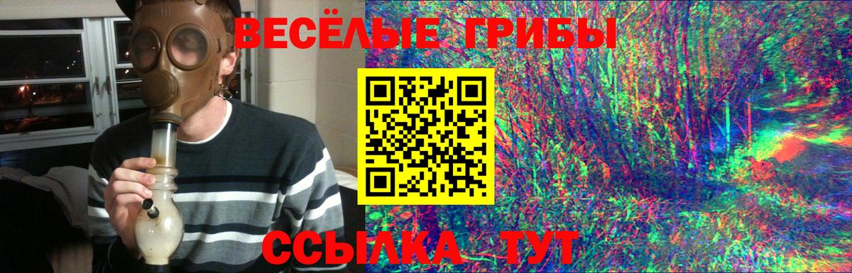 Галлюциногенные грибы GOLDEN TEACHER  Вход с VPN  Псилоцибиновые грибы MAGIC MUSHROOMS  наркотики  Салехард 